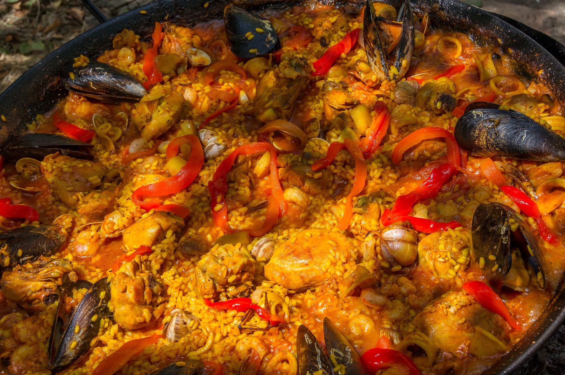 Mediterranean paella