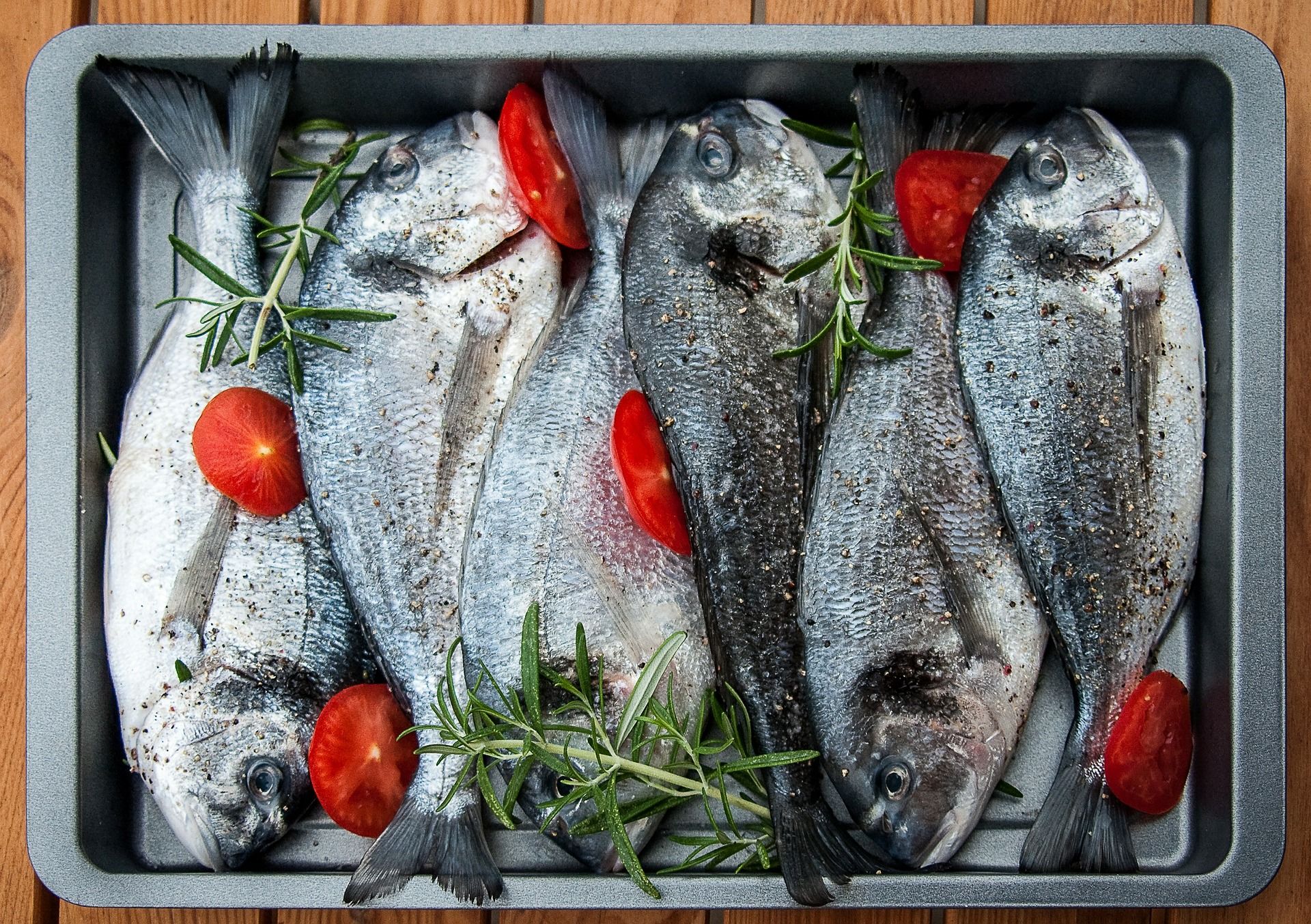 Fresh sea bream
